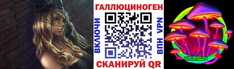 мега онион  Теберда  Галлюциногенные грибы Psilocybine cubensis 